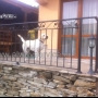 Ringhiera in ferro battuto