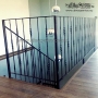 Wrought Iron Railing