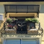 Wrought Iron Railing