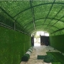 Artificial hedge 42*42mm/1.6mm