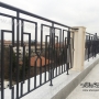 Iron Railing