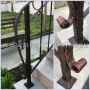 Wrought Iron Railing